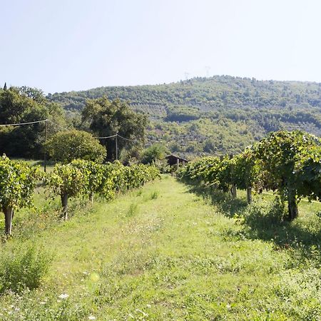 Agriturismo I Melograni Ferentillo Ngoại thất bức ảnh