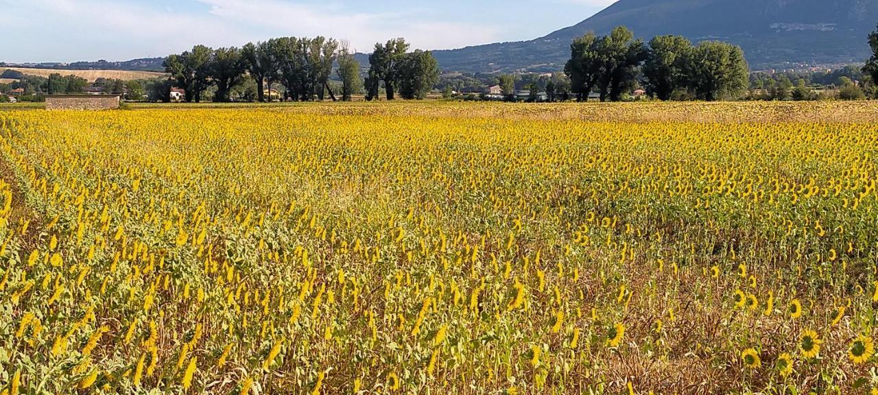 Agriturismo I Melograni Ferentillo Ngoại thất bức ảnh