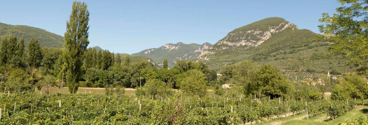 Agriturismo I Melograni Ferentillo Ngoại thất bức ảnh