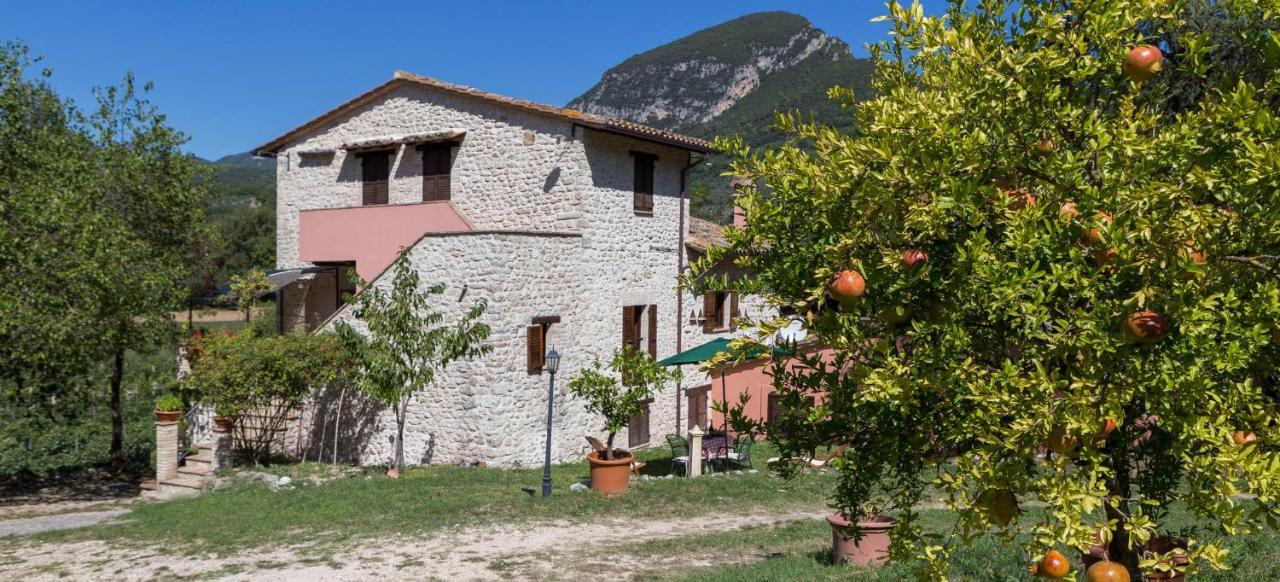 Agriturismo I Melograni Ferentillo Ngoại thất bức ảnh