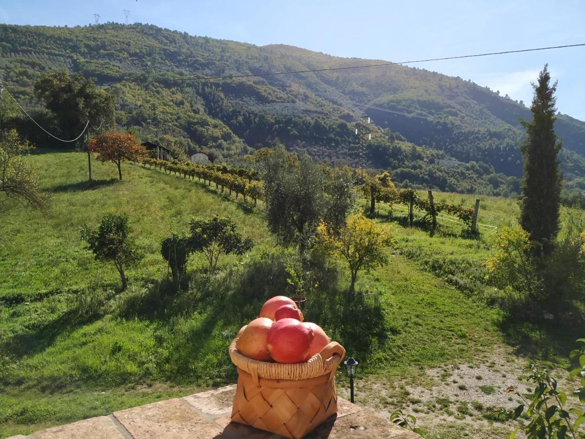 Agriturismo I Melograni Ferentillo Ngoại thất bức ảnh