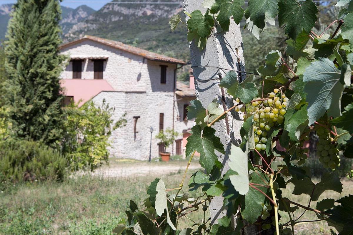 Agriturismo I Melograni Ferentillo Ngoại thất bức ảnh