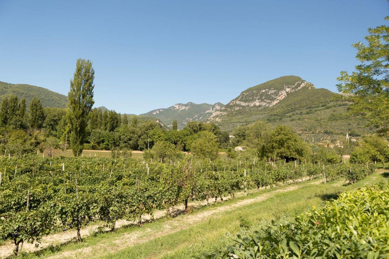 Agriturismo I Melograni Ferentillo Ngoại thất bức ảnh
