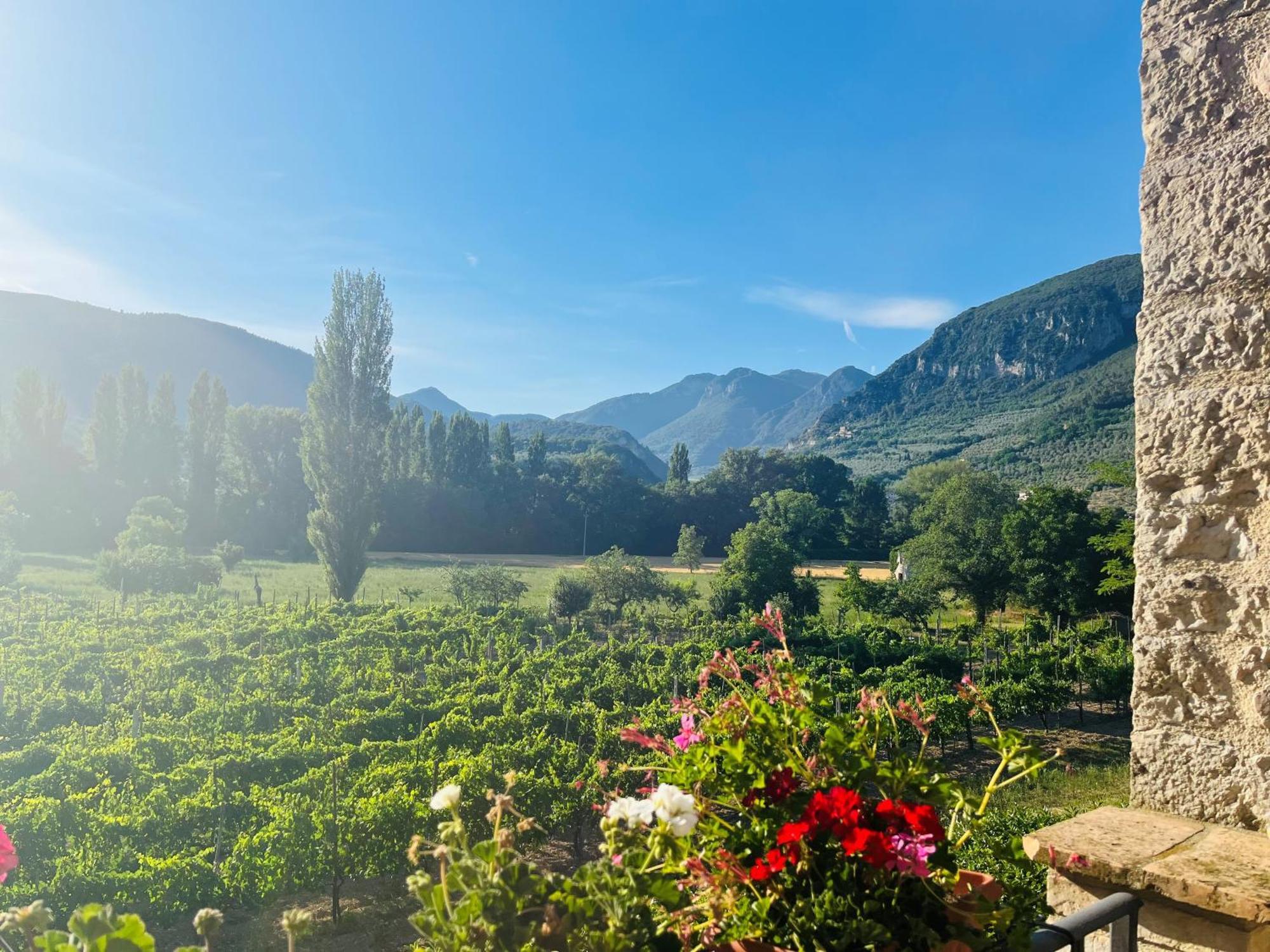 Agriturismo I Melograni Ferentillo Ngoại thất bức ảnh